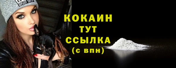 мяу мяу мука Баксан