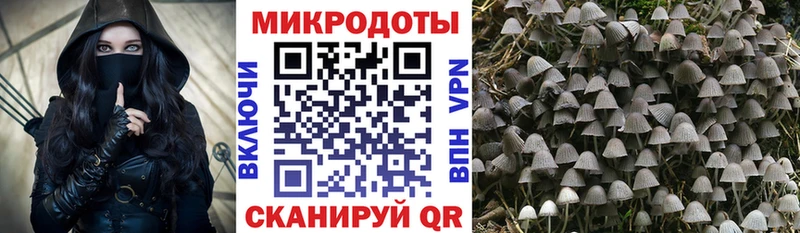 Купить где Малая Вишера Псилоцибиновые грибы MAGIC MUSHROOMS